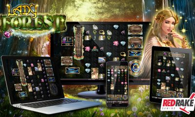 Potions, magic and a beautiful elf in the new release from Red Rake Gaming: Lady Forest