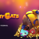 Yggdrasil launches purrrfect new hit Pushy Cats