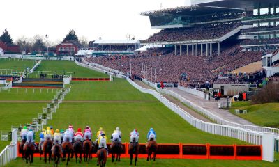 Racecourse Media Group results return to pre-Covid levels