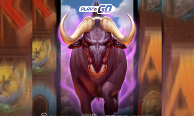 Play'n GO head into the wild with their latest Dynamic Payways animal slot, Safari of Wealth