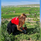 Meridianbet Donated Over 1.000 Seedlings in Month 1 of a Global Environmental Project