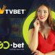 TVBET expands its presence in Poland through a deal with GoBet