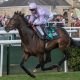 SBK to sponsor Lingfield Derby and Oaks Trials