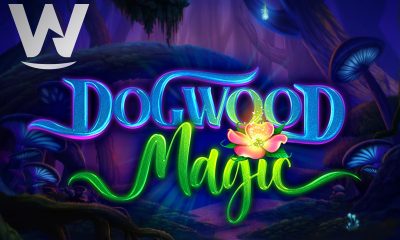 Wizard Games releases captivating new hit Dogwood Magic