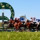 France Galop appoints HBA Media in a multi-year media-rights distribution deal