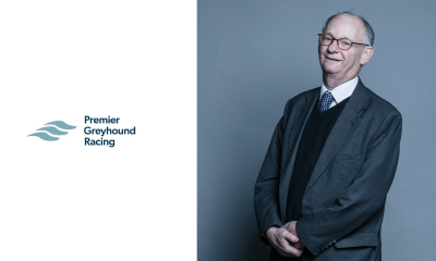 Entain & ARC appoint working peer Lord Lipsey to chair new Premier Greyhound Racing joint venture