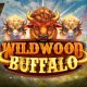 Wizard Games launches latest hit Wildwood Buffalo