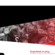 SPOTLIGHT SPORTS GROUP LAUNCH EXCLUSIVE WORLD CUP EVENT HUBS
