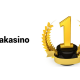 Paynplaycasinos.com, The No. 1 Place For Pikakasinos