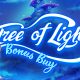 Evoplay returns to the enchanted forest in Tree of Light Bonus Buy
