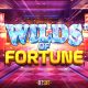 Betsoft Releases its Latest Slot Title “Wilds of Fortune”