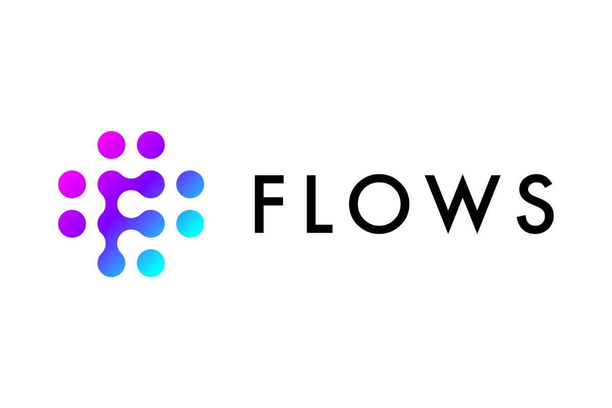 DoubleUp Group opens the path to automation with Flows