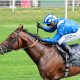 QIPCO BRITISH CHAMPIONS DAY TO ENJOY GLOBAL BROADCAST, INCLUDING FOX SPORTS US