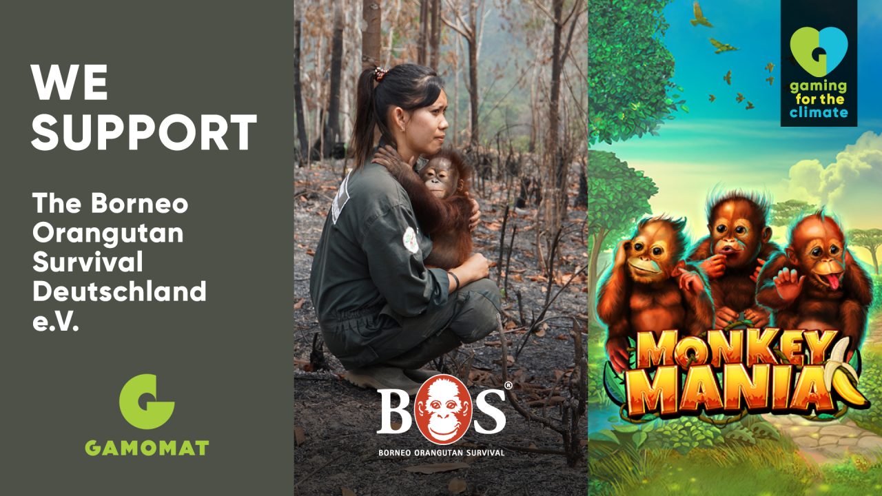 GAMOMAT’s Monkey Mania to support Borneo Orangutan Survival (BOS) as part of Gaming for the Climate initiative