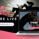 Stride launches challenger platform to drive participation in horse racing ownership and wider fan engagement in the sport