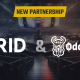 GRID and Oddin.gg establish strategic data partnership to power esports betting solutions