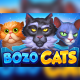 Enjoy purr-fect fun in Playson’s Bozo Cats