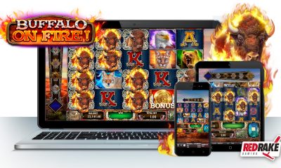The call of the wild comes to Red Rake Gaming with the release of Buffalo on Fire!