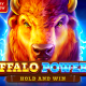 Go on a journey of a lifetime in Playson’s Buffalo Power 2: Hold and Win