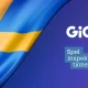 Gaming Innovation Group awarded new Swedish software licence