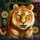 Swintt and Samurai Studio take a walk on the wild side in Lightning Jungle Hold The Cash