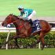 LONGINES Hong Kong International Races prize money rises to £11.9 million