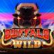 Mancala Gaming Releases Buffalo Goes Wild
