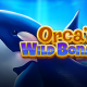 Yggdrasil set for aquatic adventure in Boomerang’s Orca’s Wild Bonanza
