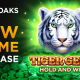 Prepare to be dazzled in the jungle in 3 Oaks Gaming’s Tiger Gems: Hold and Win