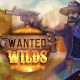 Wanted Wilds: Get ready for the biggest duel in the West!