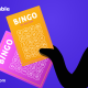 What is Irish bingo