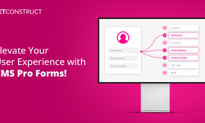 BetConstruct Launches a New CMS Pro Form An Exceptional Addition to CMS Pro Engine