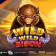 Trigger a Wild Gold Rush in Wild Wild Bison