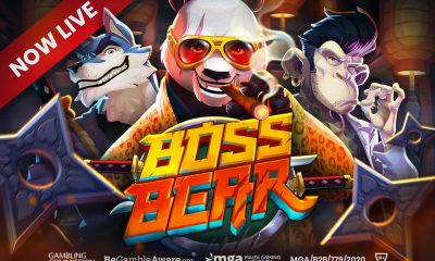 Push Gaming tackles the criminal underworld in Boss Bear