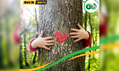 SKS365 launches PlanetGreen365 sustainability program: the company forest was born to celebrate the new green project