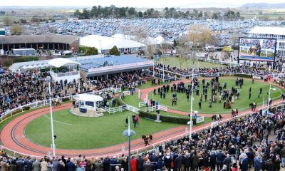 Cheltenham and Grand National 2025 start now