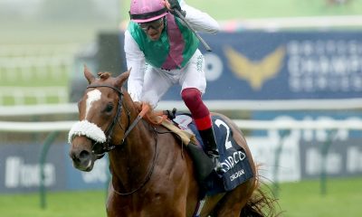 World Pool returns to UK and Ireland with launch of £50,000 jockeys’ charity prize