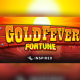 GOLD FEVER FORTUNE SET TO STRIKE GOLD IN THE UK B3/LBO MARKET