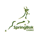 Springbok Casino as the Fastest Payout Casino for 2024