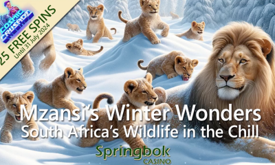 Springbok Casino Showcases Winter Survival Strategies of South Africa’s Wildlife in ‘Mzansi’s Winter Wonders’ Feature