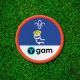 Scouts launch badge partnership with Ygam