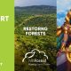 GAMOMAT grows its Gaming for the Climate initiative with Alexandria Fire collaboration with WeForest