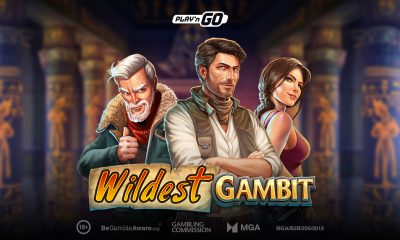 Play'n GO recruits the entire Wilde family for their latest adventure, Wildest Gambit