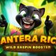 Tom Horn Gaming is excited to announce the launch of Pantera Rica