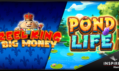 Reel King Big Money & Pond Life banner