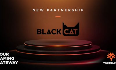 Yggdrasil expands YGG Masters Program with Black Cat Games