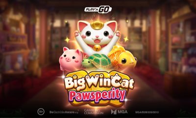 The Big Win Cat returns with larger-than-life fortune