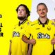 Stake strikes international esports partnership with Team Vitality