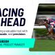 Racing Ahead: How AI and Agile Thinking Delivered a Racing API UI in Record Time