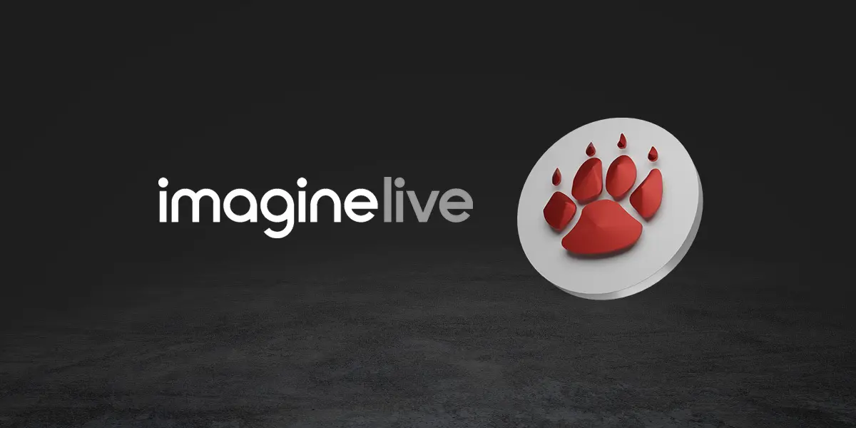 QTech Games fine-tunes its live-casino suite with Imagine Live